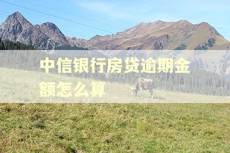 中信银行房贷逾期金额怎么算