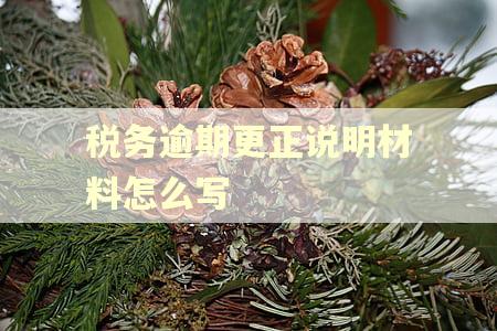 税务逾期更正说明材料怎么写