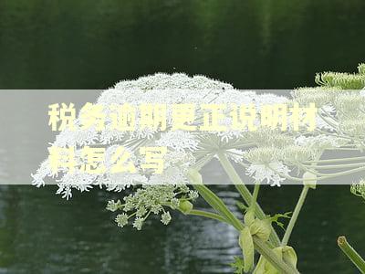 税务逾期更正说明材料怎么写