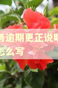 税务逾期更正说明材料怎么写