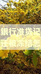 工商银行准贷记卡逾期已还被冻结怎么办