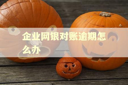 企业网银对账逾期怎么办