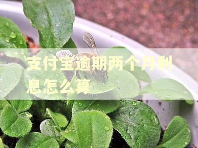 支付宝逾期两个月利息怎么算