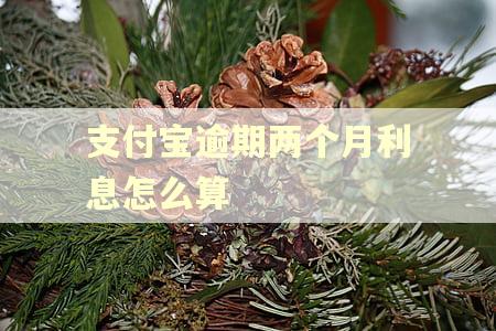 支付宝逾期两个月利息怎么算