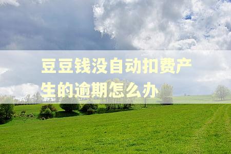 豆豆钱没自动扣费产生的逾期怎么办