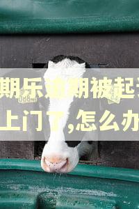 分期乐逾期被起诉,找上门了,怎么办