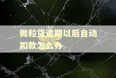 微粒贷逾期以后自动扣款怎么办
