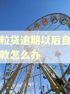 微粒贷逾期以后自动扣款怎么办 微粒贷逾期以后自动扣款怎么办