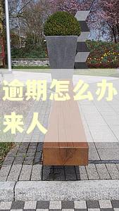 借呗逾期怎么办有没有过来人