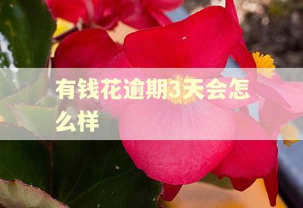 有钱花逾期3天会怎么样