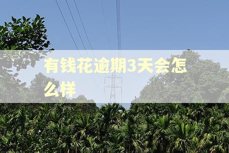 有钱花逾期3天会怎么样