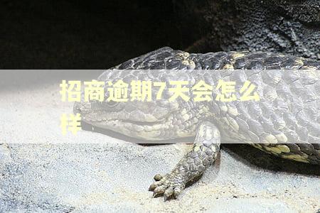 招商逾期7天会怎么样