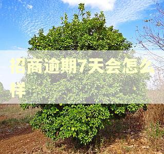 招商逾期7天会怎么样