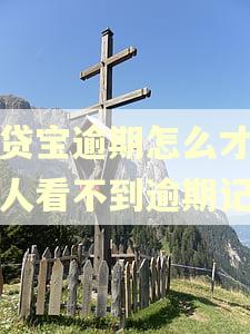 借贷宝逾期怎么才能让人看不到逾期记录