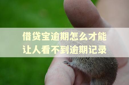 借贷宝逾期怎么才能让人看不到逾期记录