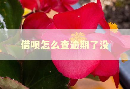借呗怎么查逾期了没