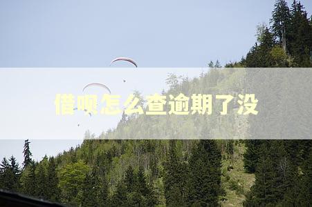 借呗怎么查逾期了没 借呗怎么查逾期了没