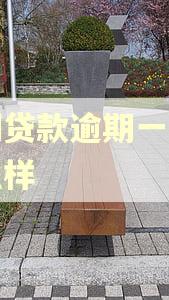 分期贷款逾期一天会怎么样