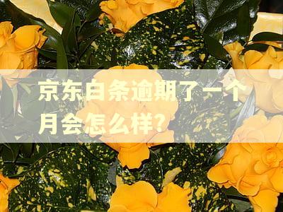 京东白条逾期了一个月会怎么样?