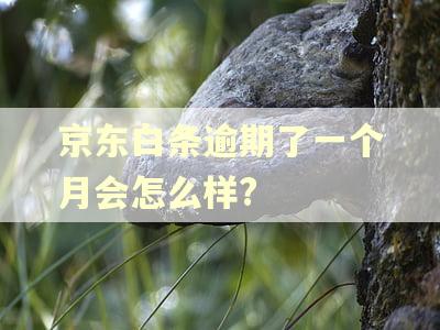 京东白条逾期了一个月会怎么样?