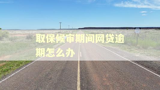 取保候审期间网贷逾期怎么办