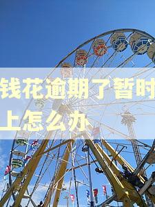 有钱花逾期了暂时还不上怎么办
