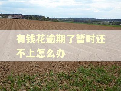 有钱花逾期了暂时还不上怎么办 有钱花逾期了暂时还不上怎么办