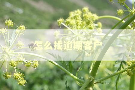 怎么找逾期客户