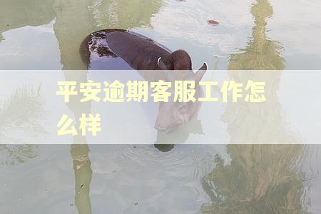平安逾期客服工作怎么样