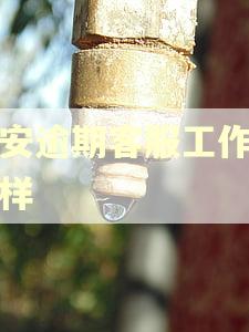 平安逾期客服工作怎么样