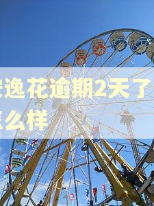 安逸花逾期2天了会怎么样