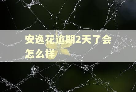 安逸花逾期2天了会怎么样 安逸花逾期2天了会怎么样