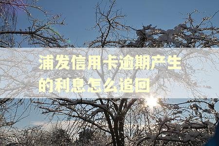 浦发信用卡逾期产生的利息怎么追回