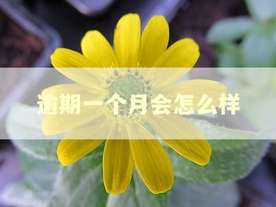 逾期一个月会怎么样