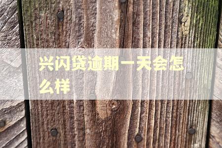 兴闪贷逾期一天会怎么样
