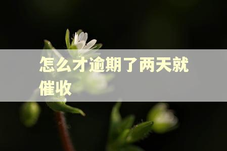 怎么才逾期了两天就催收 怎么才逾期了两天就催收
