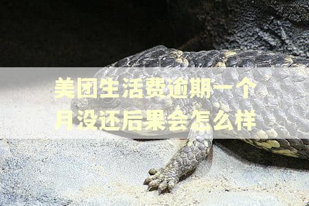 美团生活费逾期一个月没还后果会怎么样