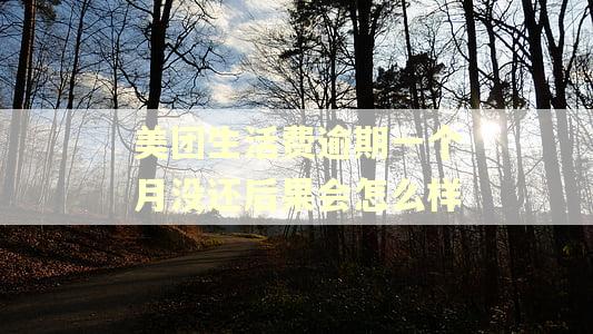 美团生活费逾期一个月没还后果会怎么样