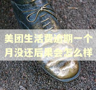 美团生活费逾期一个月没还后果会怎么样