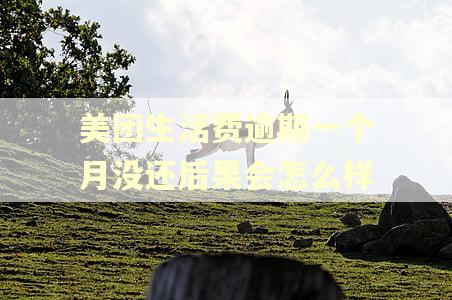 美团生活费逾期一个月没还后果会怎么样