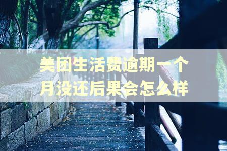 美团生活费逾期一个月没还后果会怎么样