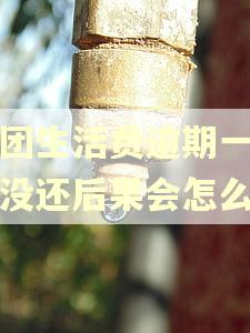 美团生活费逾期一个月没还后果会怎么样