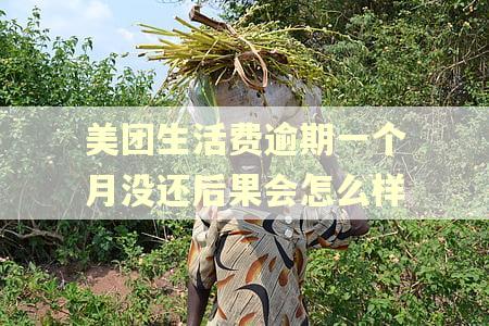 美团生活费逾期一个月没还后果会怎么样 美团生活费逾期一个月没还后果会怎么样