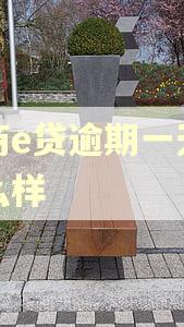 华商e贷逾期一天会怎么样