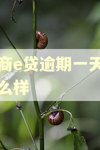 华商e贷逾期一天会怎么样