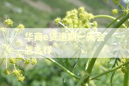 华商e贷逾期一天会怎么样 华商e贷逾期一天会怎么样