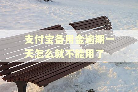支付宝备用金逾期一天怎么就不能用了