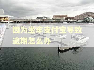 因为坐牢支付宝导致逾期怎么办