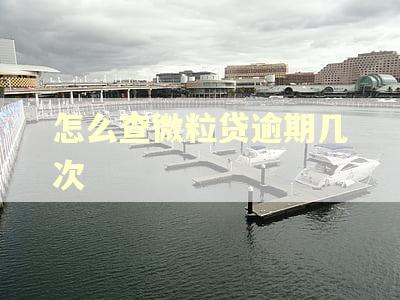 怎么查微粒贷逾期几次