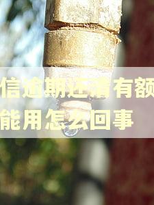 中信逾期还清有额度不能用怎么回事
